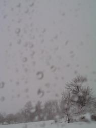 Родная Басовка