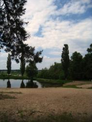 Поїзди гудуть за Ірпінню...