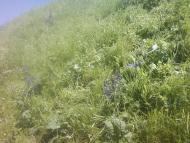 Багатківці  і околиці  села