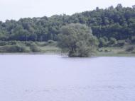 Воля-Гомулецька