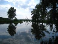 Поїзди гудуть за Ірпінню...