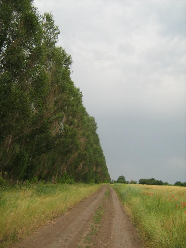 село Різдвянка - Різдвянка