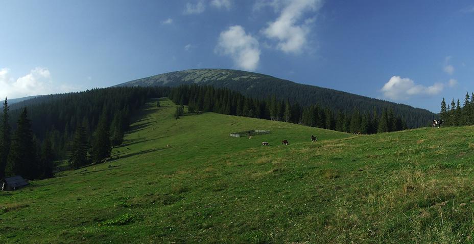 фошки - Фошки