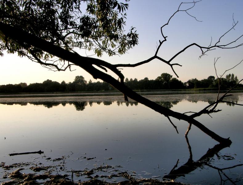 сдесь была моя молодость. - Борушківці