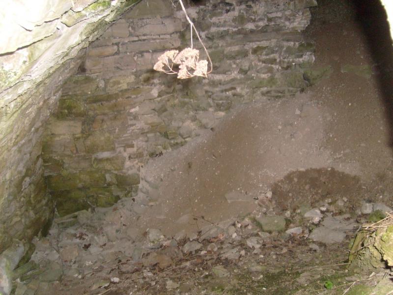 Весна 2010 - Збриж