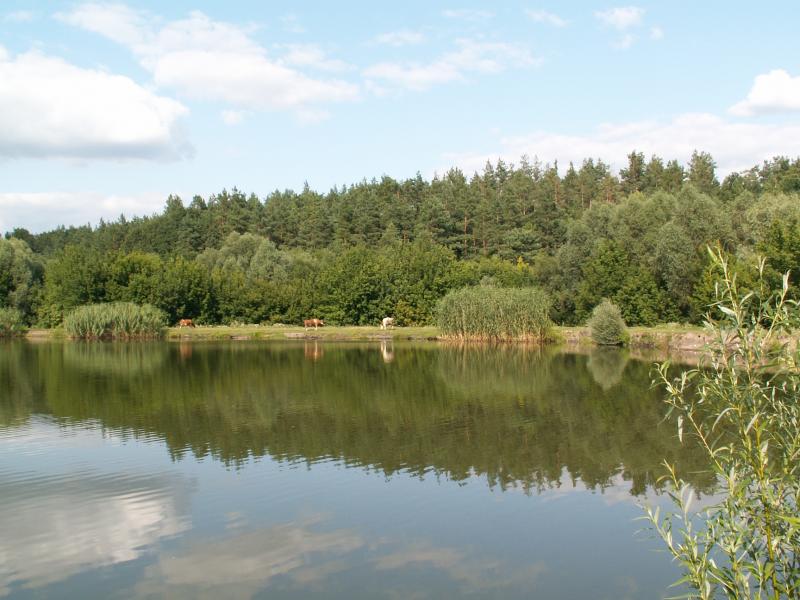 Лузанівські краєвиди - Лузанівка