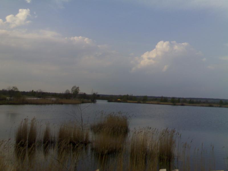 Моє село - Тетевчицы