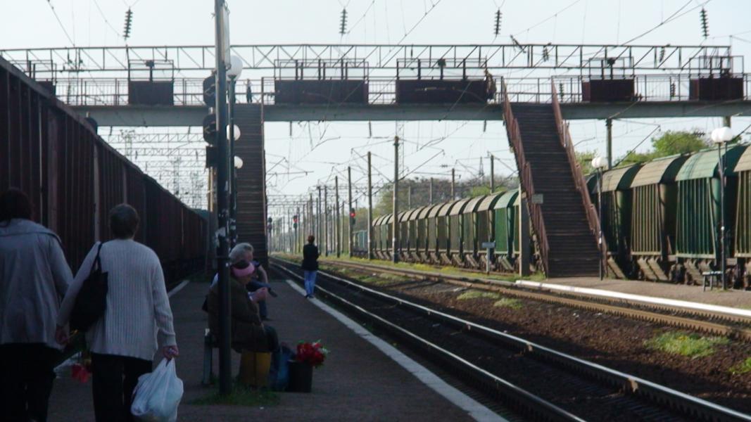 ПАВЛИНКА - Павлинка