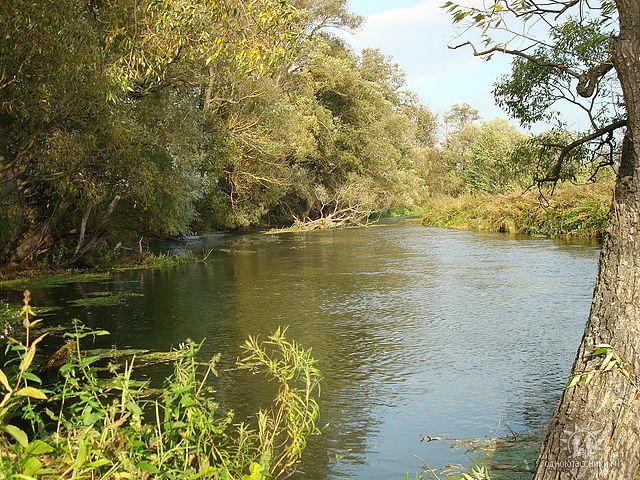 Село - Орликівка