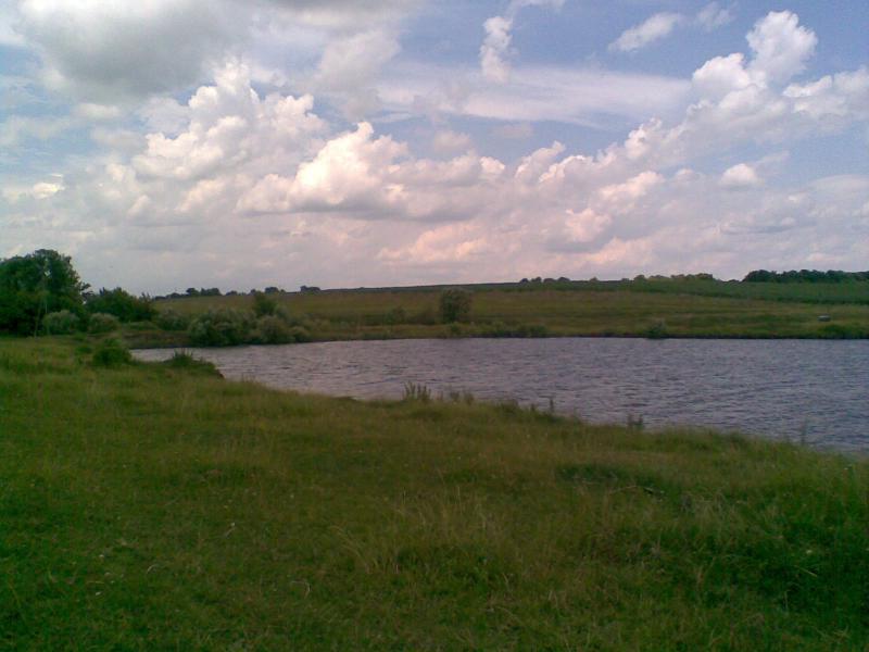 Фото - Petrykivtsi