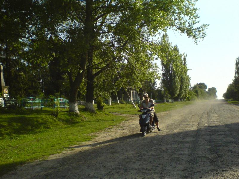 Фото - Petrykivtsi