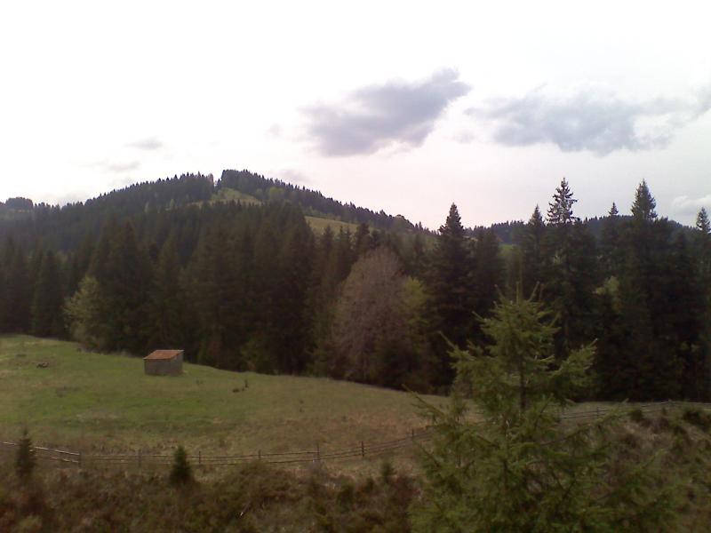 фошки - Фошки