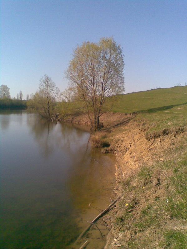 Фото - Petrykivtsi