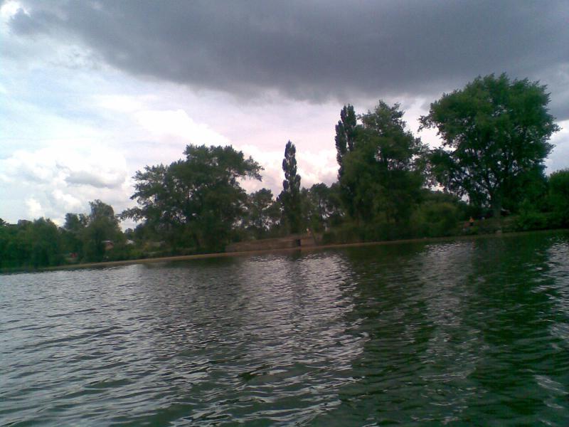 Фото - Petrykivtsi