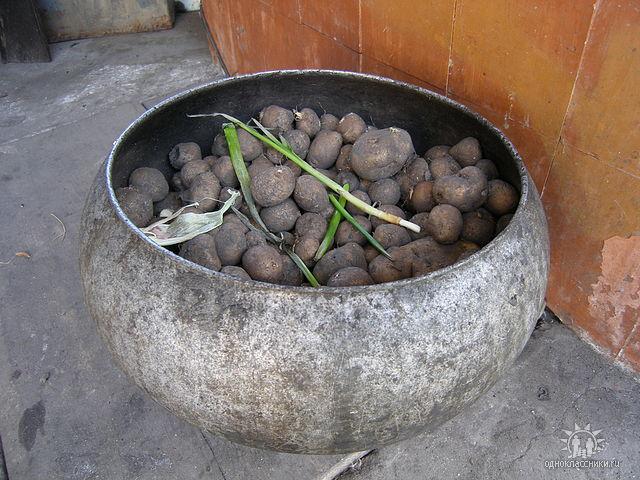 Могиляни - Могиляни