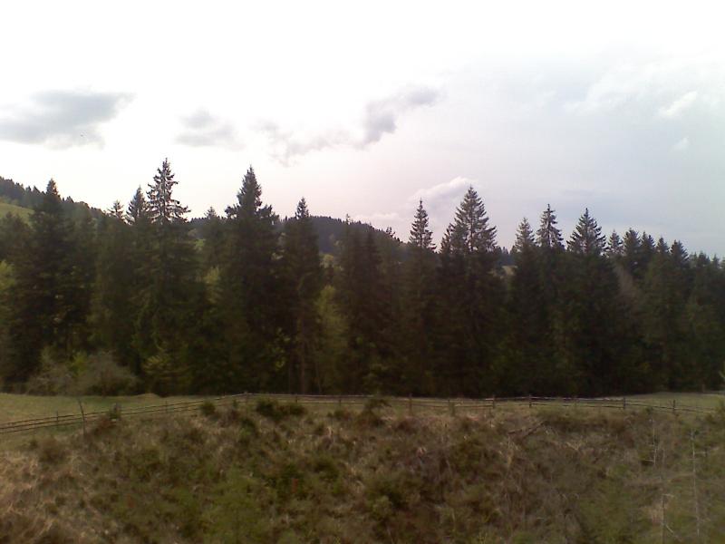 фошки - Фошки