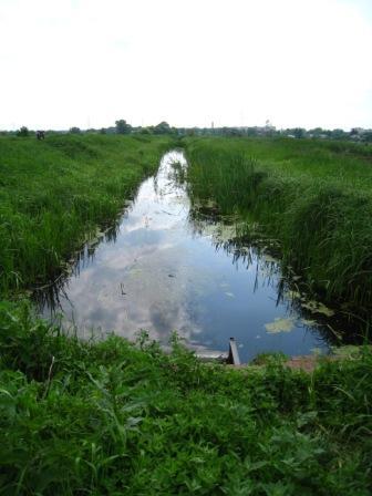 Поїзди гудуть за Ірпінню... - Ірпінь