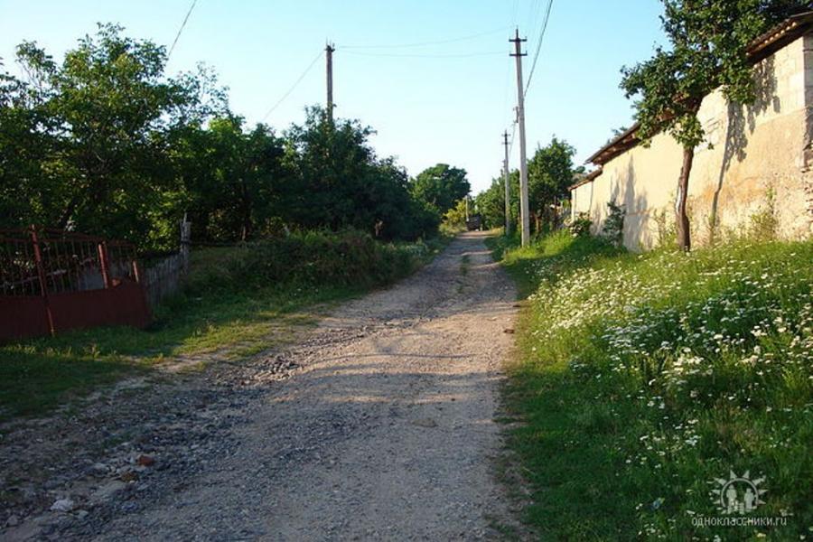 Родина - Шершенцы
