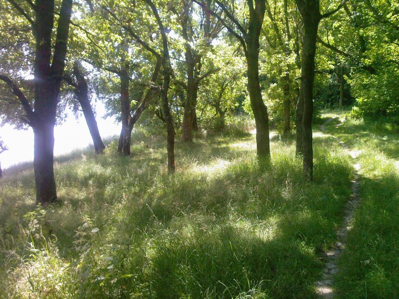 жовнино - Жовнине