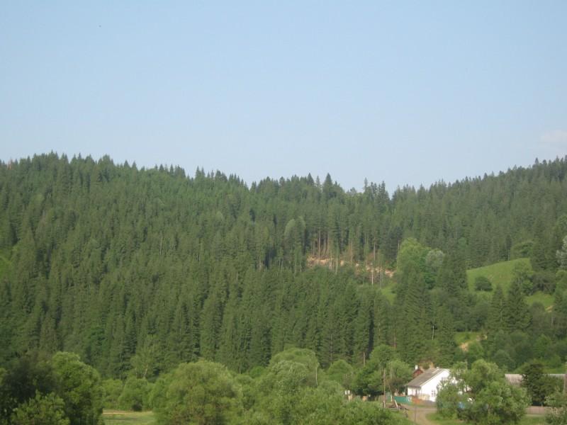 Селятин - Селятин