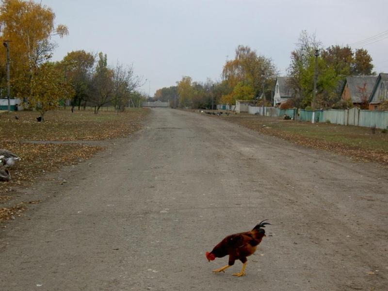 Наше село - Giltsi