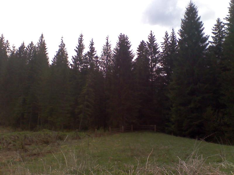 фошки - Фошки