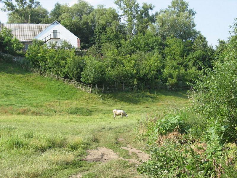 місто Звенигородка - Звенигородка
