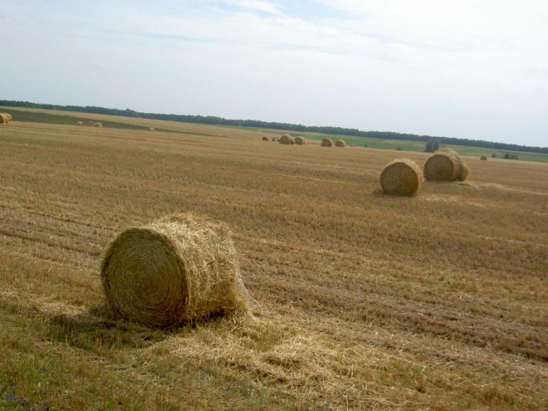 Наше село - Giltsi