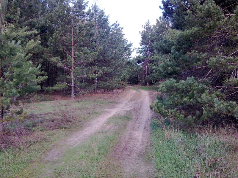 Село - Орликівка