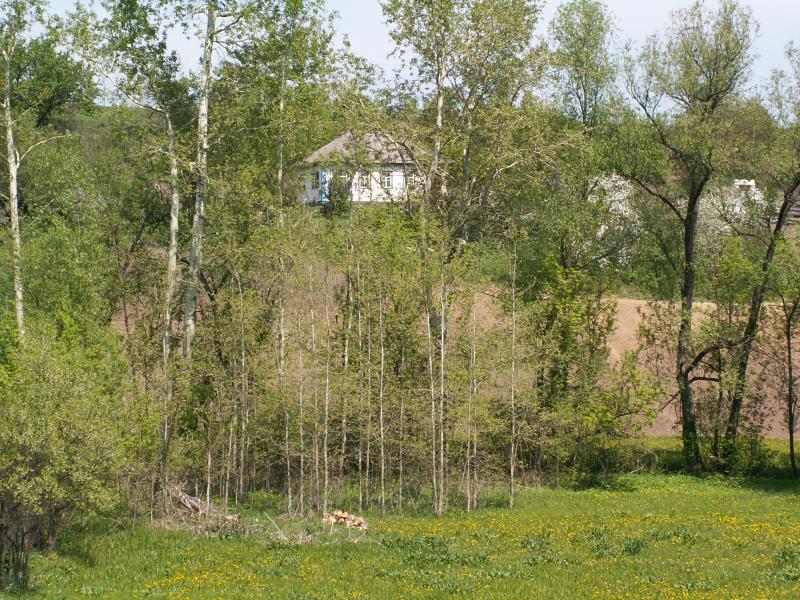 Лузанівські краєвиди - Лузановка