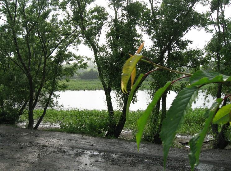 Мальовничі куточки села Бровки - Бровки Перші