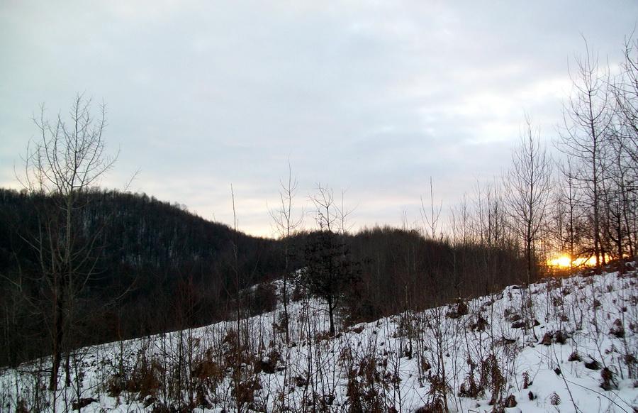 Ще фото - Теребля