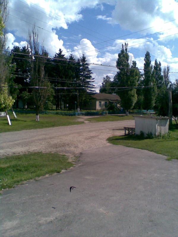 Фото - Petrykivtsi