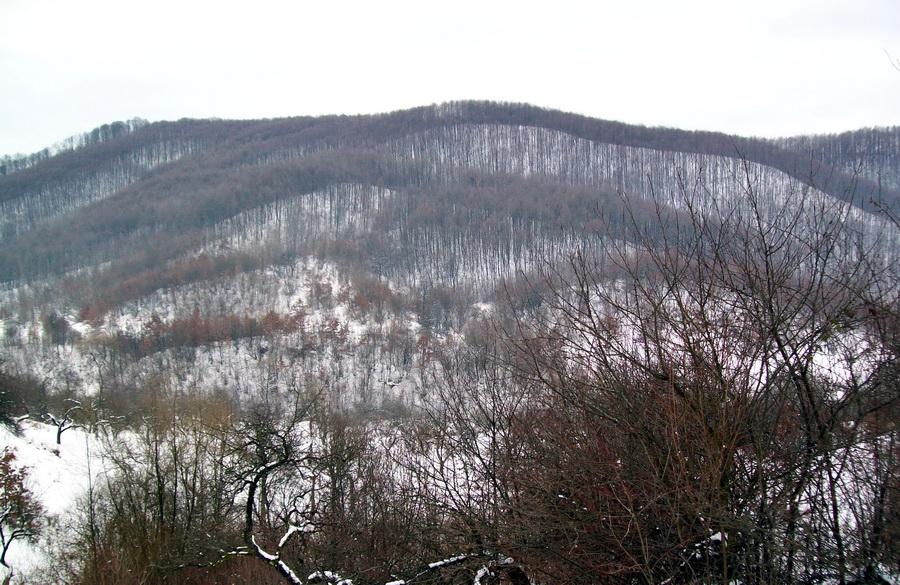 Ще фото - Теребля