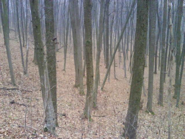 л - Левківці