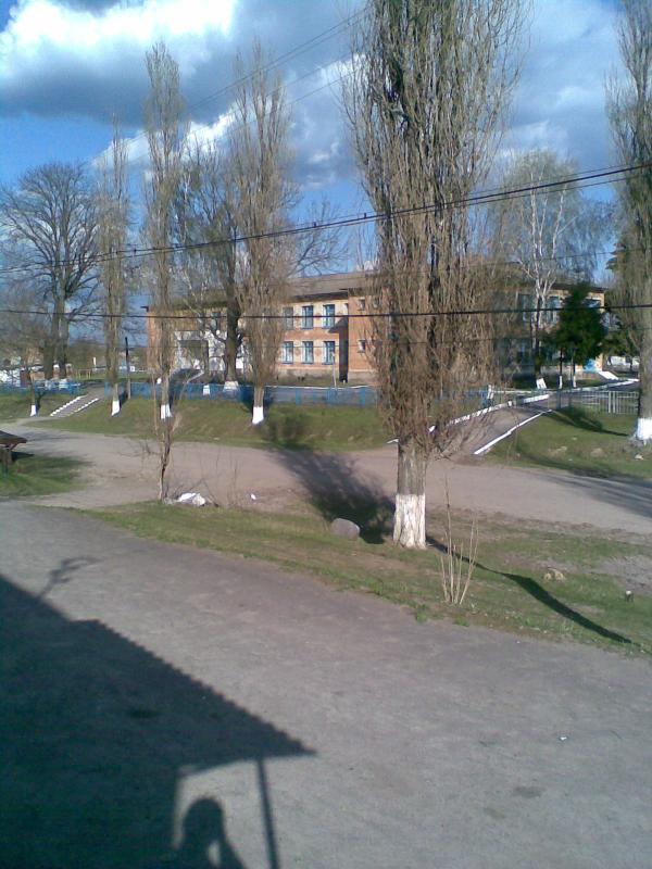 Фото - Petrykivtsi