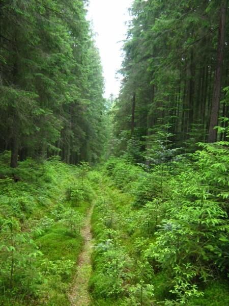  Різне - Селятин