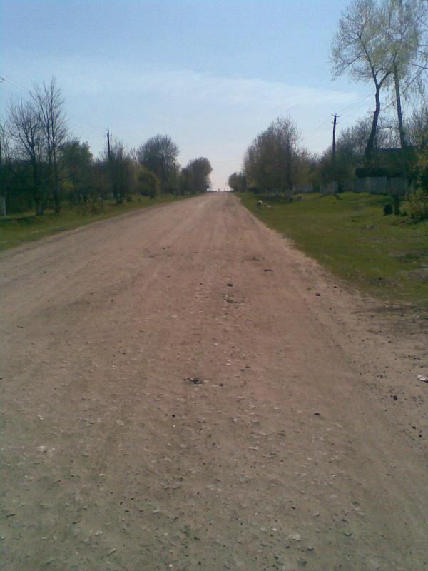 Фото - Петриківці