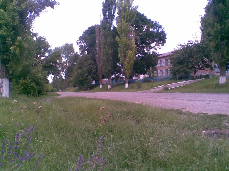 Фото - Petrykivtsi