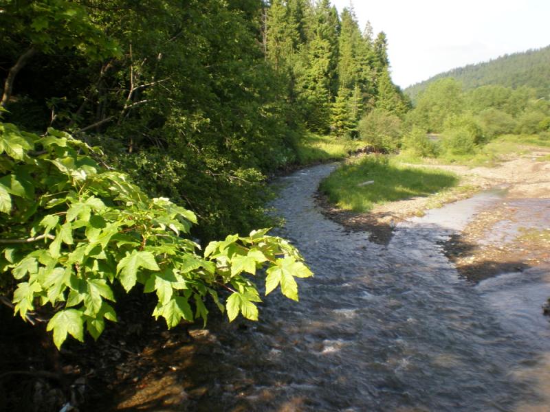 Краєвиди с.Бітля - Битля