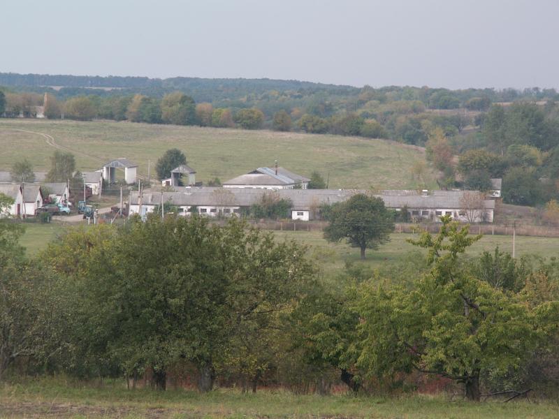 Лузанівські краєвиди - Лузанівка