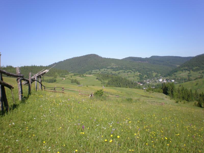 Краєвиди с.Бітля - Битля