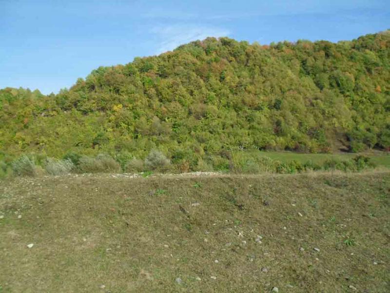 Теребля - Теребля