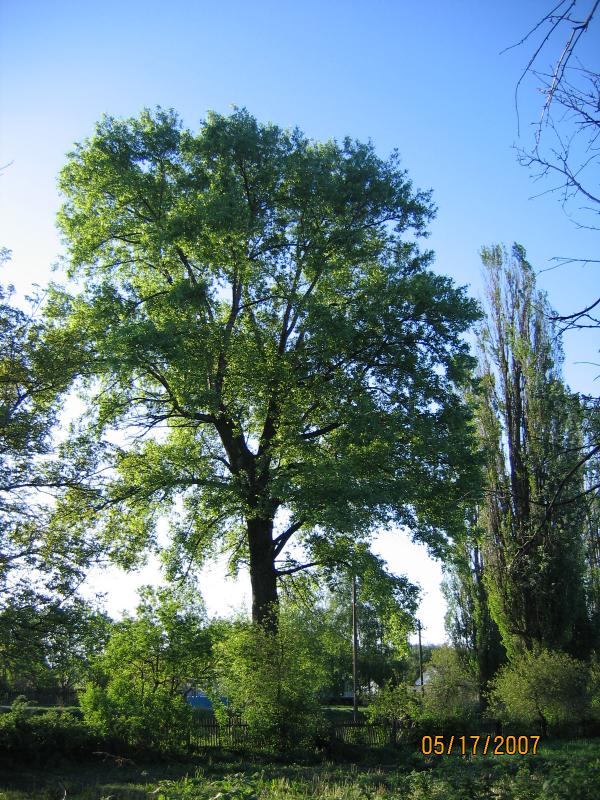 Высший Булатец - Вищий Булатець