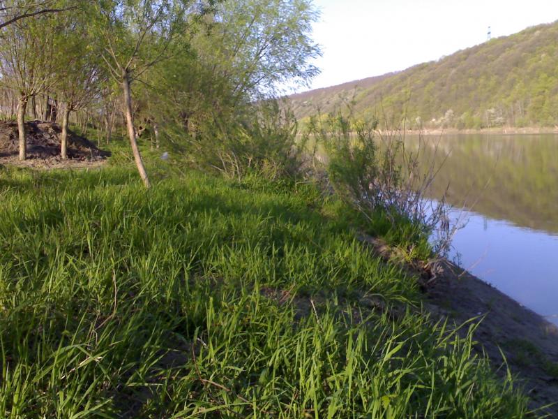 Дністер - Зозулинці