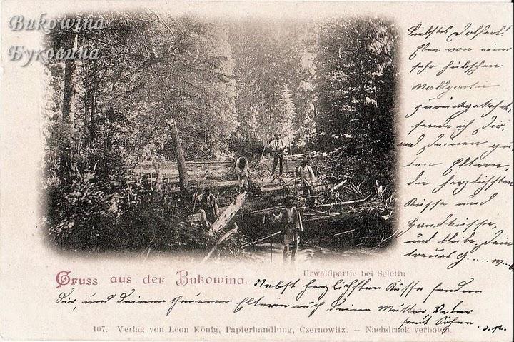  Історичний Селятин - Селятин