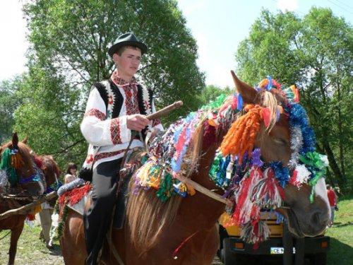 фошки - Фошки