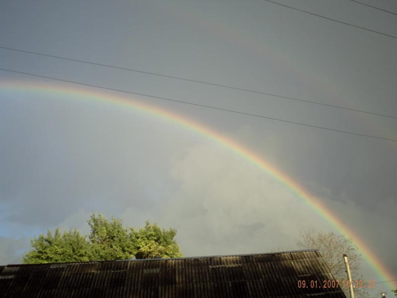 СЕЛО - Пукляки