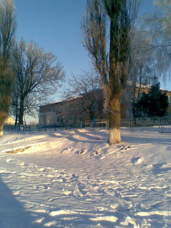 Фото - Petrykivtsi