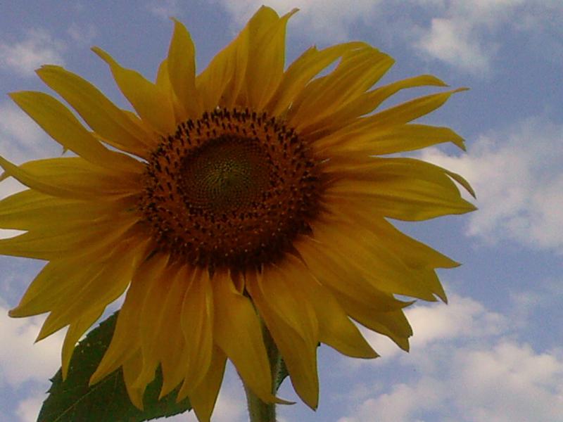 жовнино - Жовнине